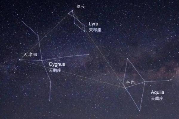 木命与水命的人适合怎样的居住环境？探秘家居风水的奥秘