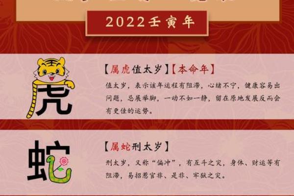 2022年的运势：探秘不同属性命的独特影响与发展趋势