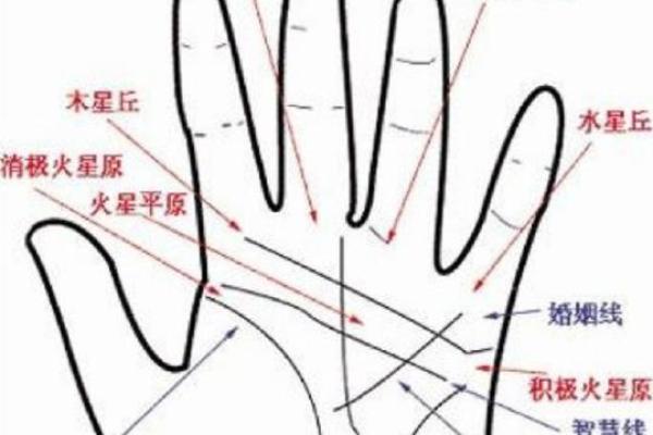 根据命格看福气，哪些女命注定幸福美满？