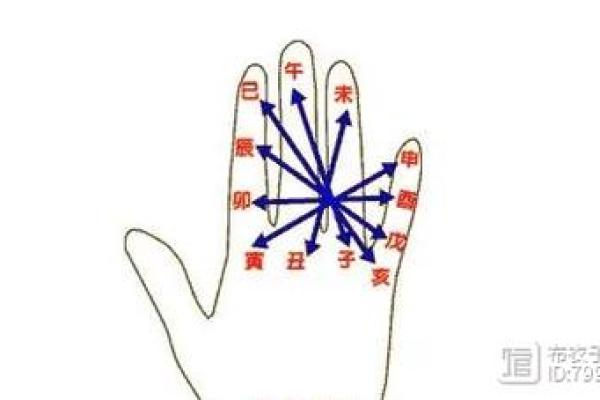 生肖猴命里缺木：探讨命理的奥秘与补救之道