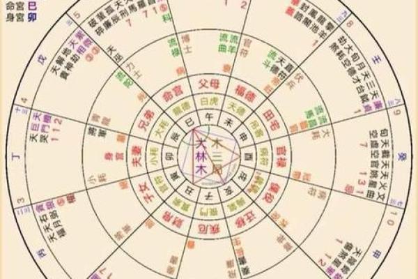 探索命主禄存与天机：人生道路的智慧与启示