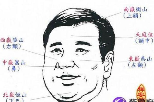 根据属相与面相，解析男命女命最佳组合