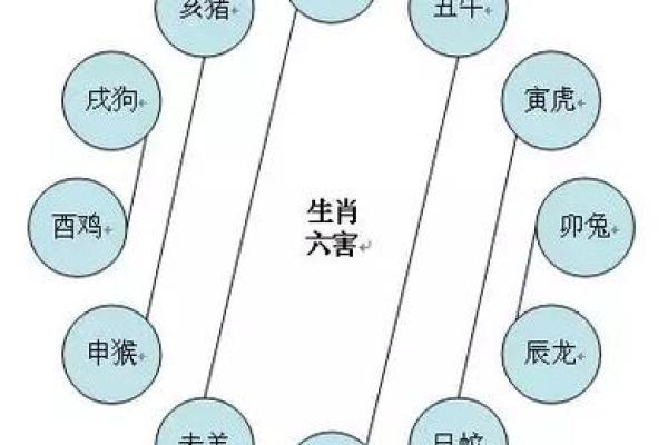 2023年鸡年的命理解析：如何把握机遇与挑战的最佳时机