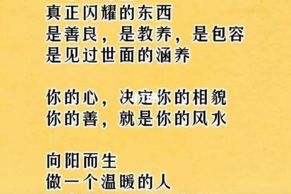 1995年出生的人生命理解析：理解你的财富与情感之旅