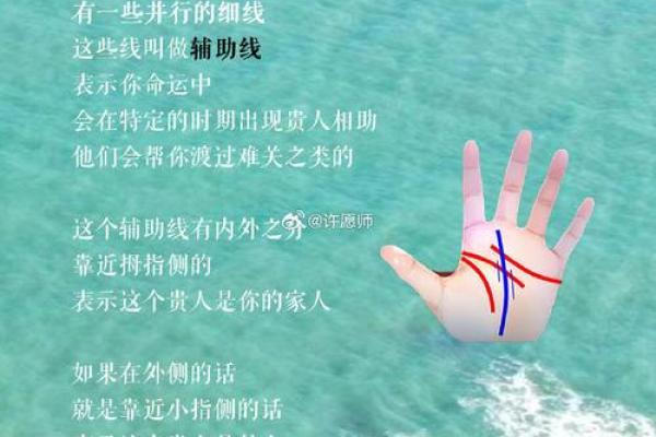 既信命又不信命的哲学探讨：找到生活的平衡点