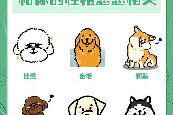 2000年6月18日出生的命运与性格解析：你是怎样的人？