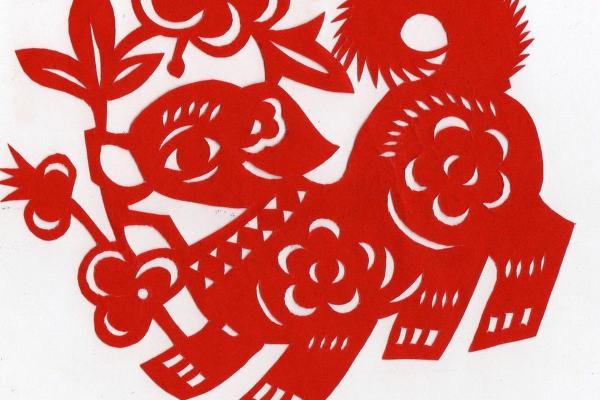 1982年属狗人的命运解析：聪明、忠诚与挑战的奇妙人生