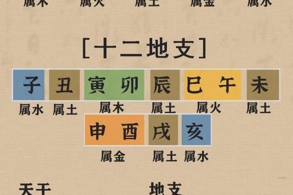 命理中的相生关系：如何运用五行理论来提升生活品质