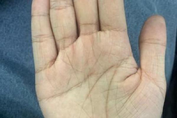 男人左手断掌的命运解析：揭示你内心的真实个性与命运轨迹