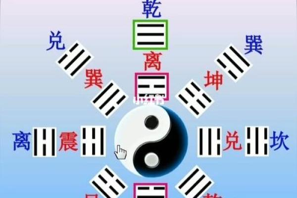 2028年属什么命？解密未来八卦与命理影响！