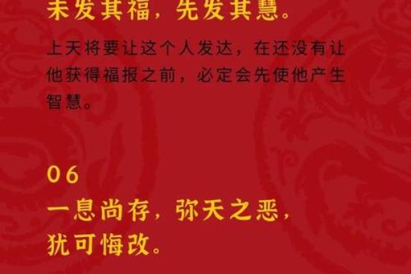 从命运看成语：生活的智慧与启示