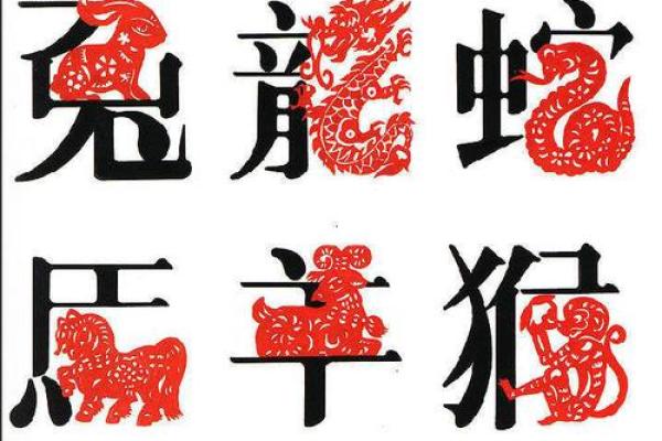 探索2021属相命运之谜：揭示十二生肖背后的力量与智慧
