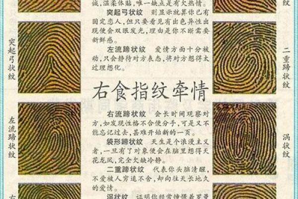19920111命运解析：揭示你的个性与人生方向