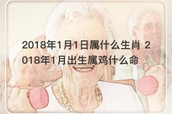 2018年出生宝宝命运解析：揭示未来发展与性格特点