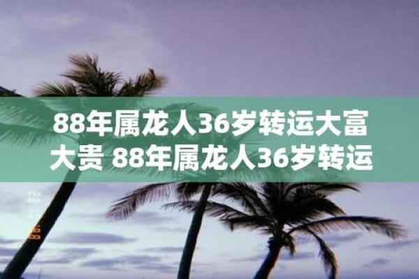 1988年出生的龙年命运解析与性格特点