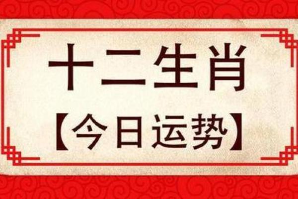 2009年2月出生的人生运势与个性揭秘！