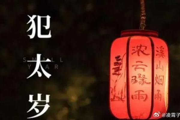 2014蛇年：揭示蛇年出生者的命运与性格特点