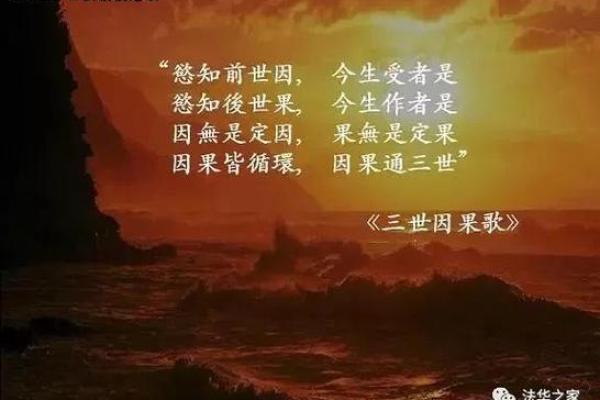 前世今生：探寻命运背后的无限可能与智慧