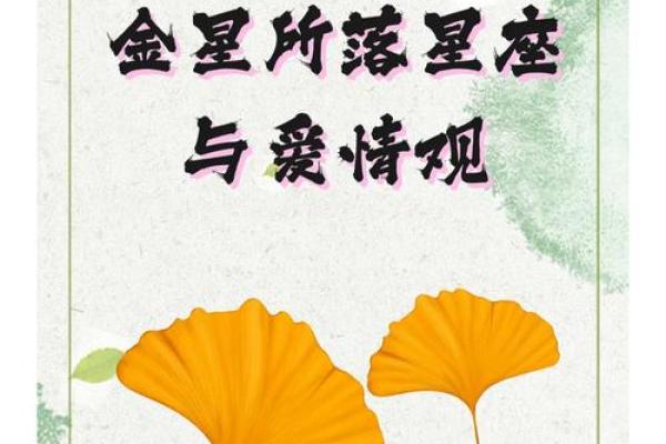 探寻凤命格：命理中那些闪耀的星辰与人生的荣耀