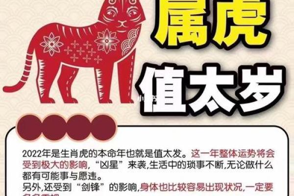 1986年属虎的命运解析：如何在挑战中迎接成功与辉煌