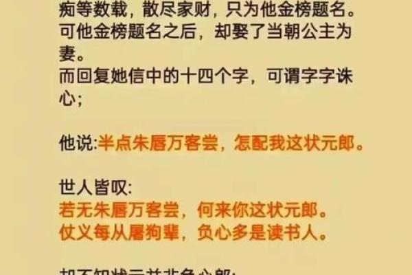 解密二妻命：命运背后的秘密与选择