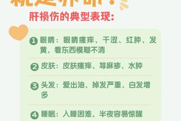 以财养命命格的奥秘与意义探讨