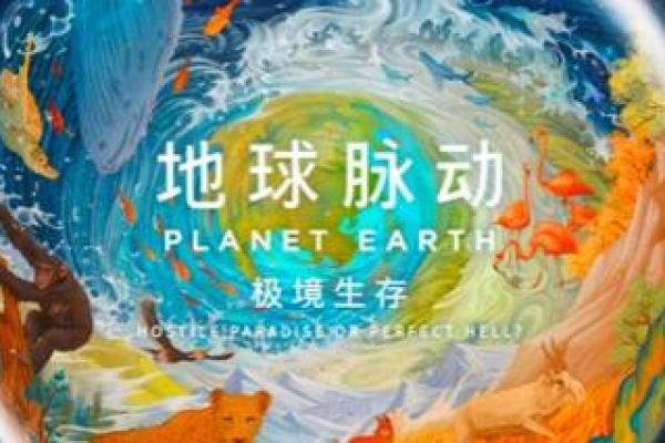 命没了还剩什么？探寻生命的终极享受与意义