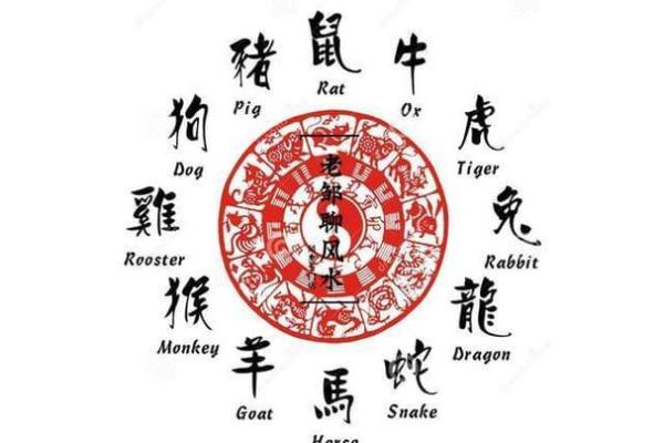 2019年猪命：探索属猪人的性格与命运