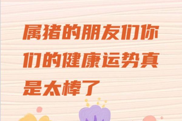 2007年属猪的人命理解析与运势展望