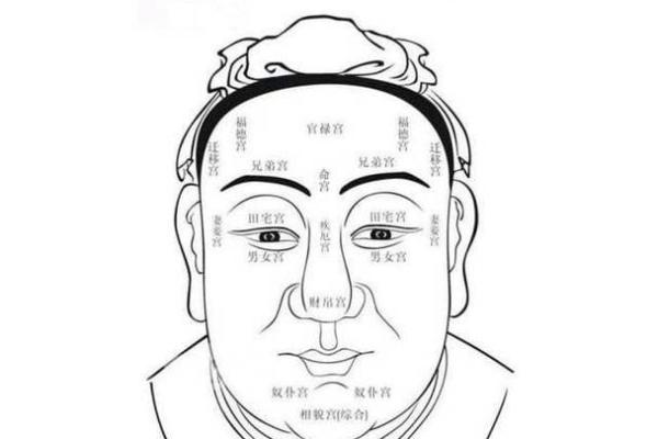 揭示命运的秘密：阴骘纹面相解析与人生轨迹的关系