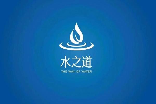 2021年水命解读：命理与生活的完美结合，探寻人生的水之道