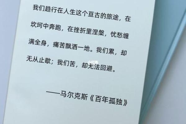 1884年命理分析：探寻人生旅途中的深意与智慧