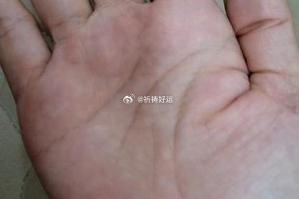 分析面相，揭秘富贵命运的秘密，助你开启好运之门！