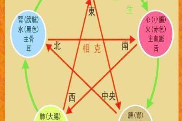 木命人与命理相克相冲的深度解析：寻求和谐之道