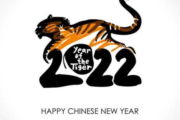 2005年鸡年：命理、性格与人生运势剖析