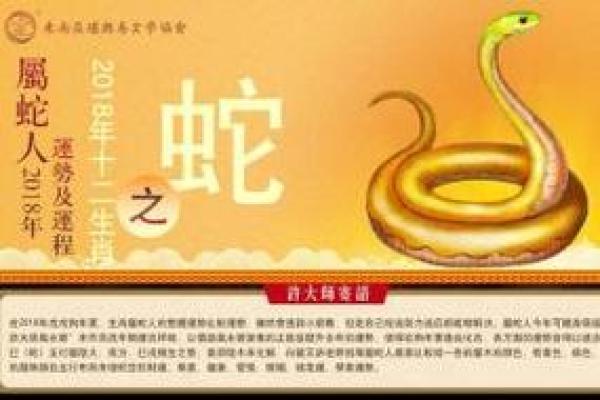 属蛇1965：揭秘你的命运与性格特点