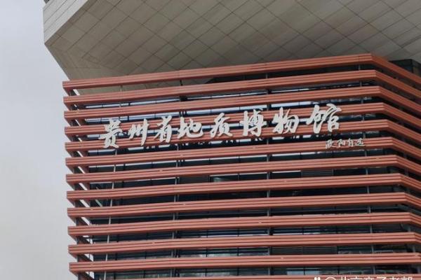 探索“命”字的奥秘：从字形到文化的深度解读