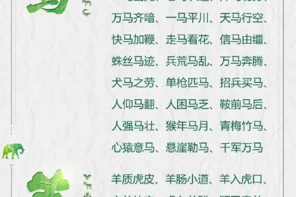 提什么什么命成语大全：探索语言的魅力与智慧