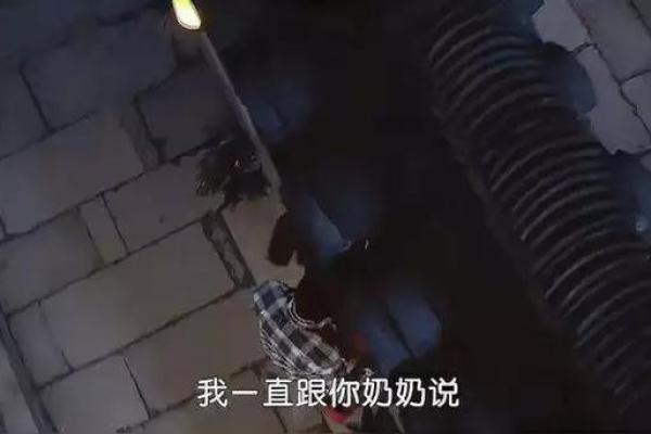 命运的交响曲：成语背后的智慧与故事