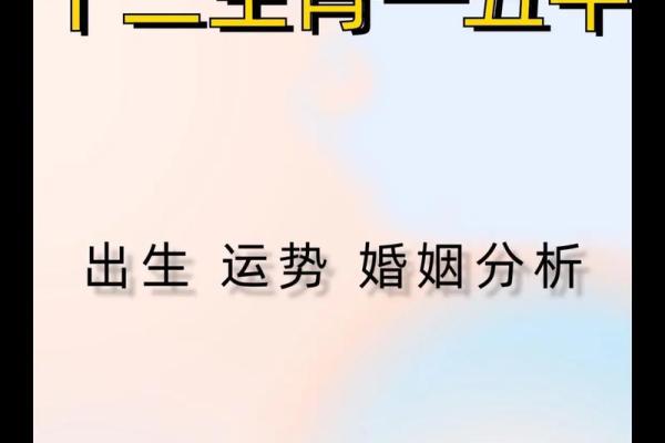探索十二生肖：各属相命理与个性解读之旅