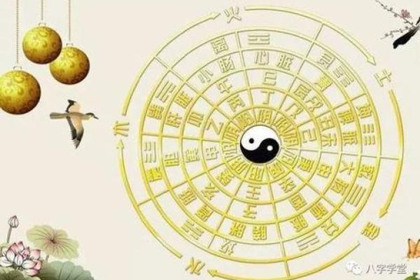 2017年1月出生的人生运势与命理解析：你是天生的领导者吗？
