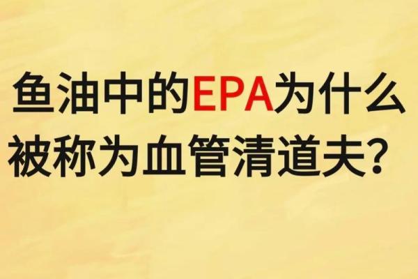 70年命运之轮：揭示人生潜能与机遇的秘密
