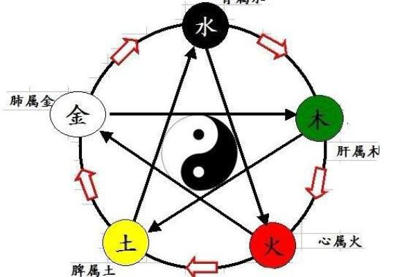 大林木命与哪种命最般配？解密五行相生相克的奥秘
