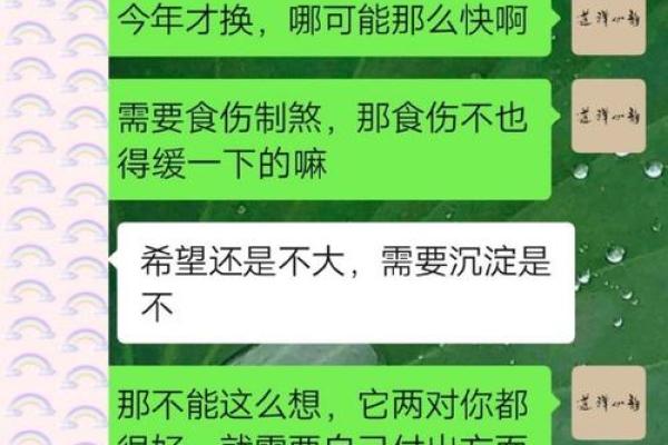 1955年出生的人命理解析：人生的选择与机遇之旅