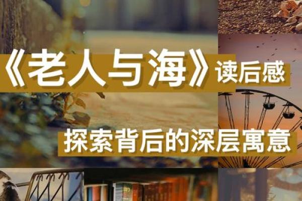 19961127出生的人生解析：命运与性格的深层解读