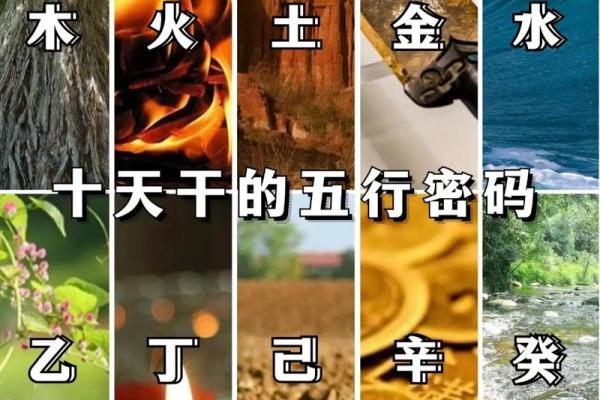 水命人与什么命人合财，揭秘五行结合的财富密码