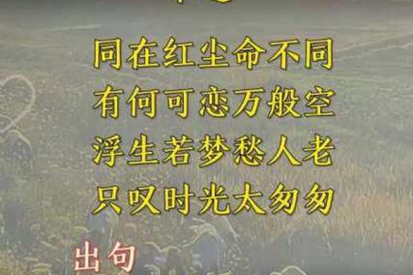 1993年11月3日出生的命运解析：揭示属于你的独特人生轨迹