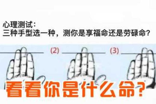 掌握命运：从手型看你的性格与未来