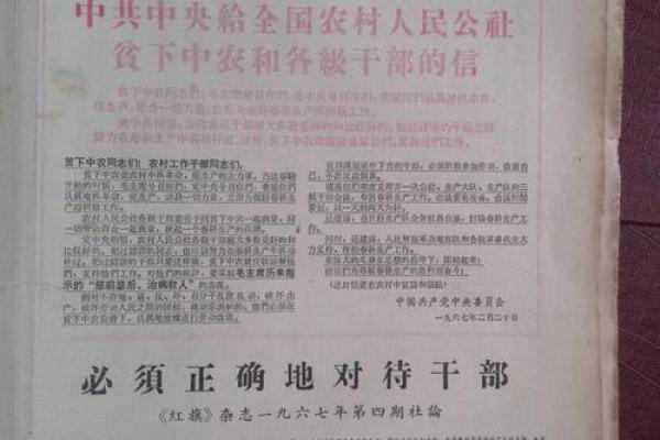 1935年农村大革命：重塑乡村的希望与挑战