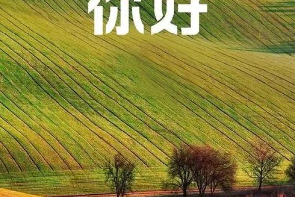 2019年4月：如何在四月的春风中找寻自己的命运与机会